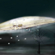 Illustration for article titled 10 Scariest Futuristic Architecture Projects